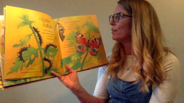 Read Aloud - Outside Your Window смотреть онлайн