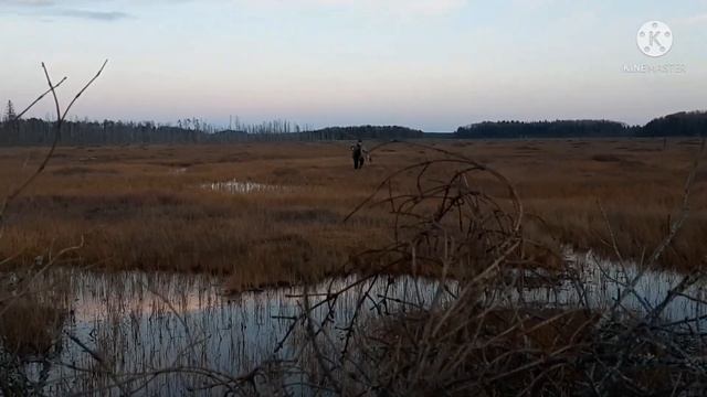 охота на гуся отличьно👍 смотреть онлайн