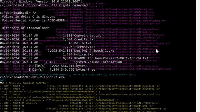 Neo-Phi-2-Epoch-2.exe SEGV_1722 смотреть онлайн