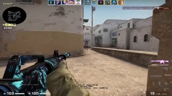 -allow_third_party_software