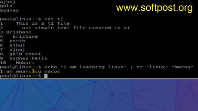 Difference between grep, cut, tr, sed and awk in Mac OSX Terminal смотреть онлайн