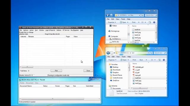 Directory monitoring as a NT Service with Batch & Print Premium Law Edition смотреть онлайн