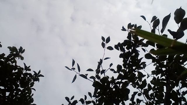 20241020_123634.mp4 смотреть онлайн