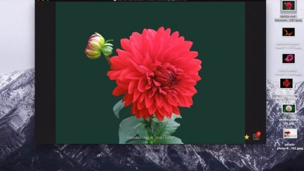 WidsMob Viewer Video Tutorial - How to View Photos in Super Fast Speed with Excellent Experience