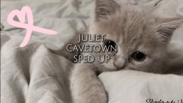 Juliet by Cavetown — sped up смотреть онлайн