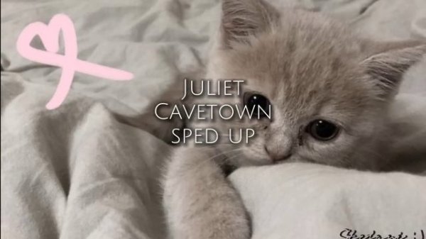 Juliet by Cavetown — sped up