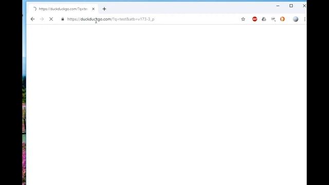 DuckDuckGO My First Video