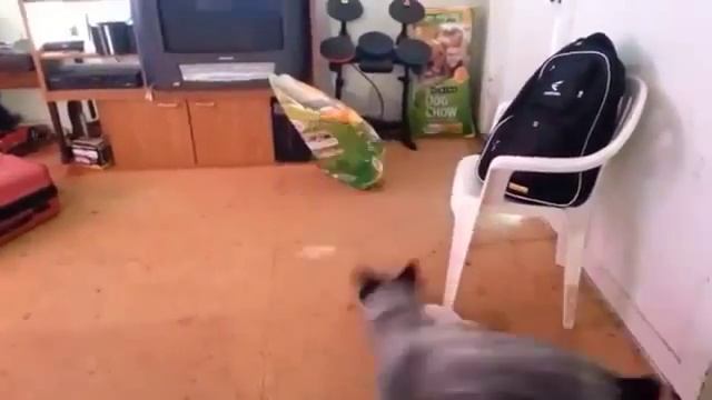 Страшный зверь смотреть онлайн