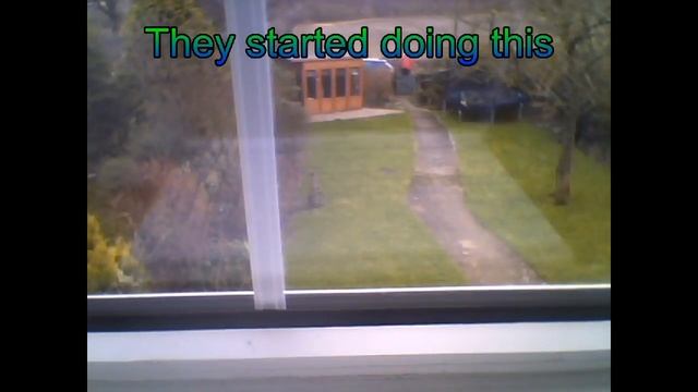 New Mental Chinese Diversity appear out of my window (720 P watch full screen) смотреть онлайн