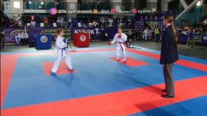 Всероссийские соревнования по карате 2024