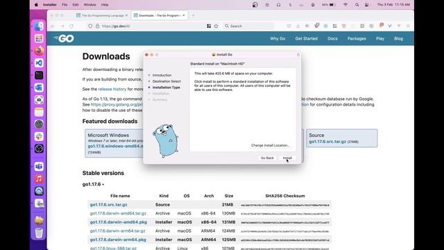 How to Install Golang On MacBook M1 смотреть онлайн