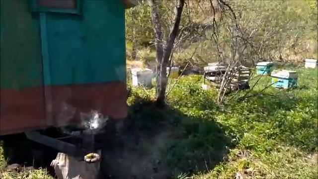Пасечный домик смотреть онлайн