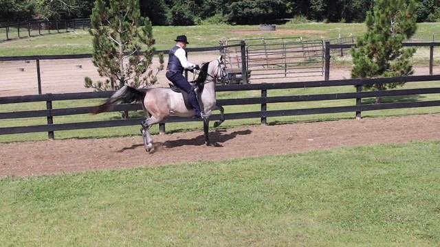 Queen Of Soul FA - August 2019 смотреть онлайн