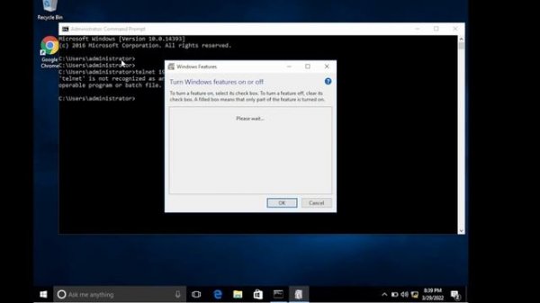 Install Telnet Client on Windows 10 /11