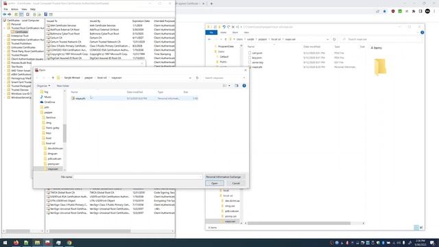 Import Local Certificates Already Created in a Different Machine In Windows смотреть онлайн
