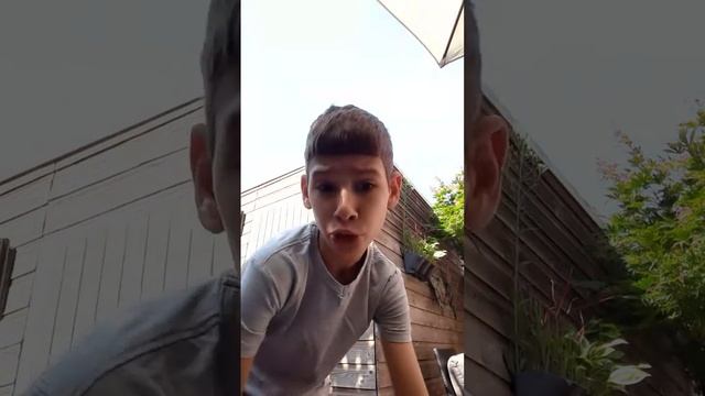 lied 1 ik ben een vogel смотреть онлайн
