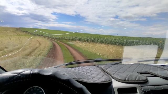 Хавал М6 или Джолион ?