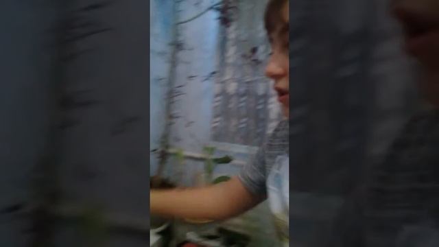 Ошибка 00000000000 смотреть онлайн