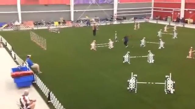Egan in Standard 7/1/2017 смотреть онлайн