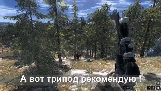 theHunter: Камень или трипод? Лось отвечает. смотреть онлайн