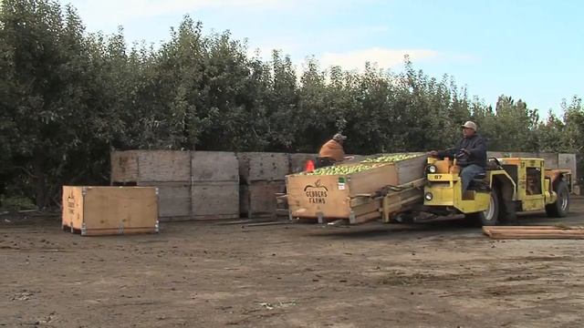 From the Apple Orchard to your Grocers Shelf смотреть онлайн