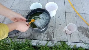 Обработка сада осенью.Псковская жизнь