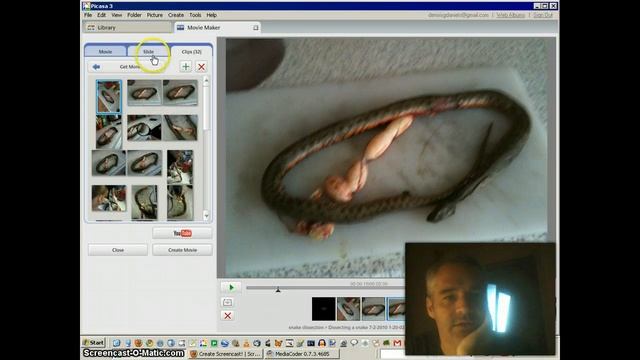 Picasa 3 caption error bug report Part I смотреть онлайн