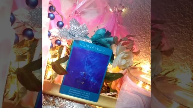 🐦Is a little Birdie 🐦 knocking at your window this is the message it left for you, poll reading 🐦. смотреть онлайн