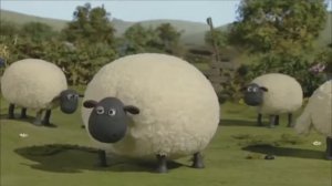 Баранчик Шон Rytp (прикол)