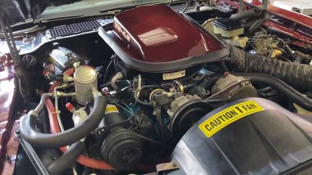 Barrett Jackson Houston Lot No. 362 - 1981 Trans AM 301-V8 - Automatic смотреть онлайн
