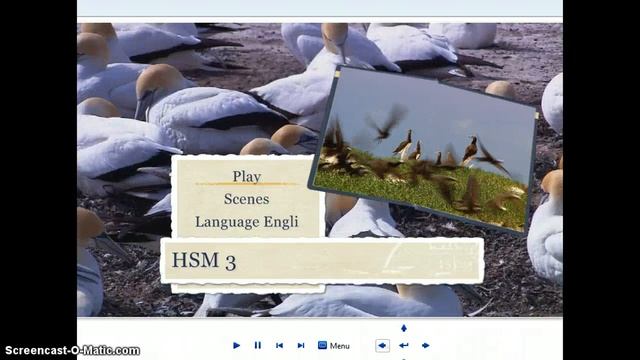 Windows DVD maker смотреть онлайн
