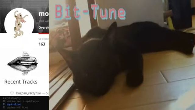 Bit-tune channel Live Mod-Cat смотреть онлайн