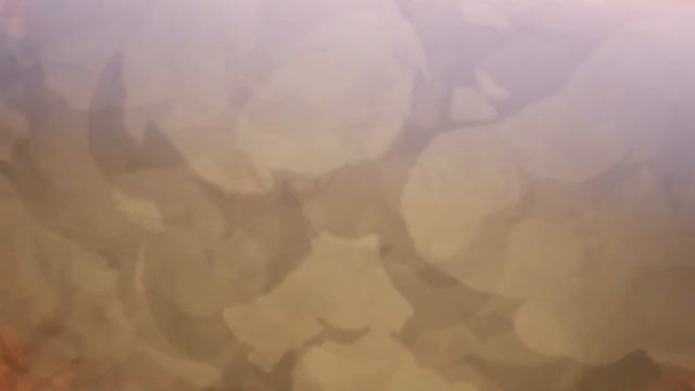 Dragon Ball Z Kakarot Walkthrough gameplay Part 9#saibamen #attackofthesaiyans #gohan Urdu/Hindi смотреть онлайн