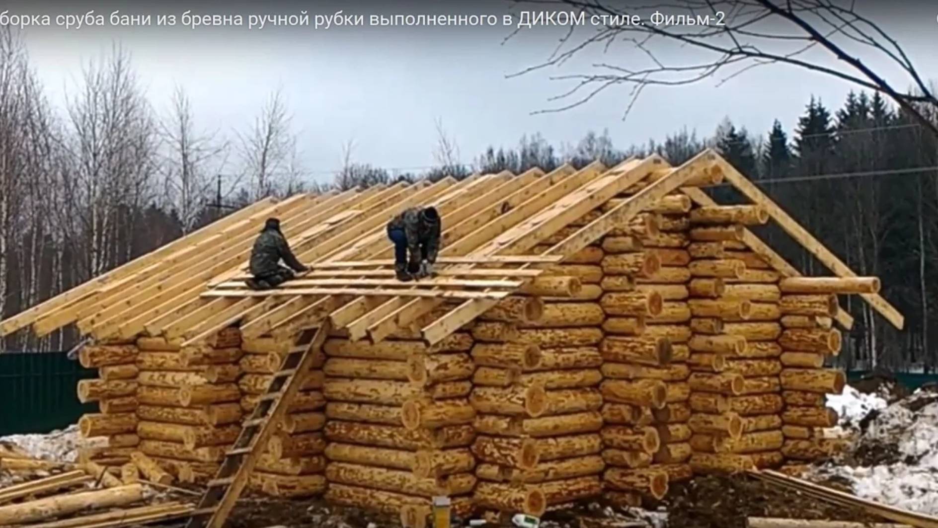 Как собрать сруб бани БЕЗ ОШИБОК. Правильная сборка сруба бани из бревна в ДИКОМ стиле под скобель. смотреть онлайн