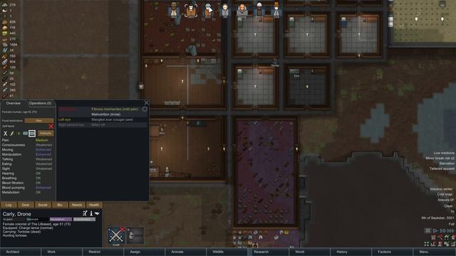 A Mysterious Alien Ship - Rimworld #26 смотреть онлайн