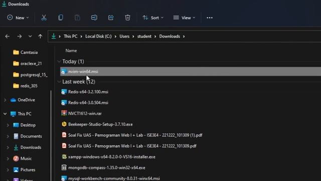 Tutorial download & install neovim to windows 11 смотреть онлайн