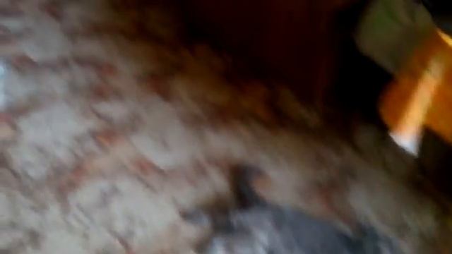 Вред пиратских игр смотреть онлайн