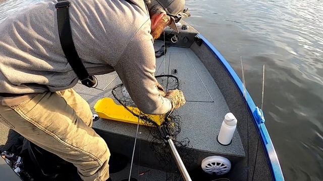 FEEDING Hair Jigs to Mississippi River Walleye and Sauger смотреть онлайн