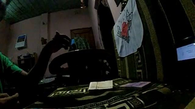 go pro studios sucks for win 7 32 bit смотреть онлайн