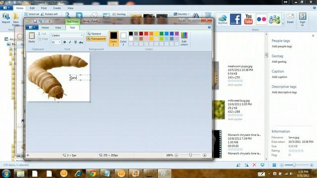 How to add captions using Photo Gallery and Paint смотреть онлайн