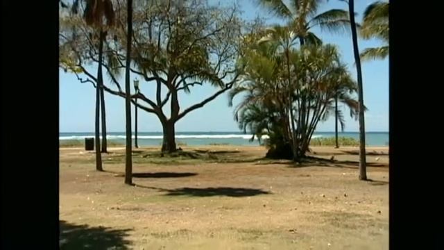 Ocean Safety could lose critical structure смотреть онлайн