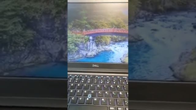 Computadora dell se tarda para iniciar windows смотреть онлайн