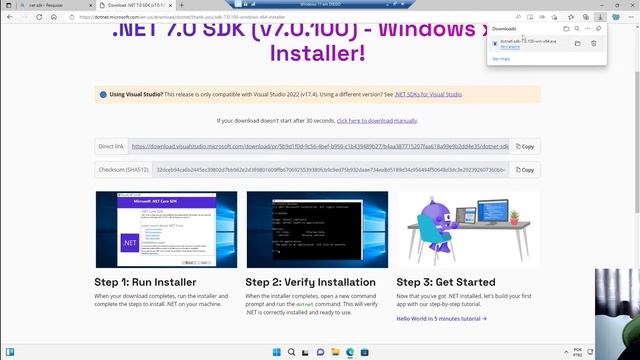 Instalando .Net SDK no Windows 11 смотреть онлайн