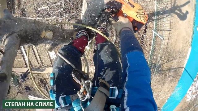 Спил деревьев. Пилим быстро смотреть онлайн