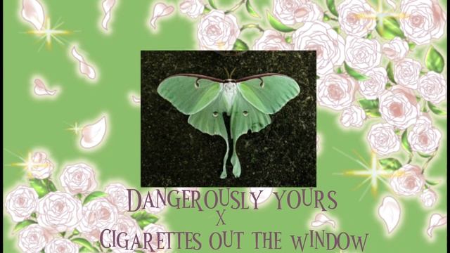 Dangerously yours x Cigarettes out the window смотреть онлайн