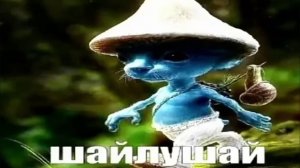 шайлушай 10 часов