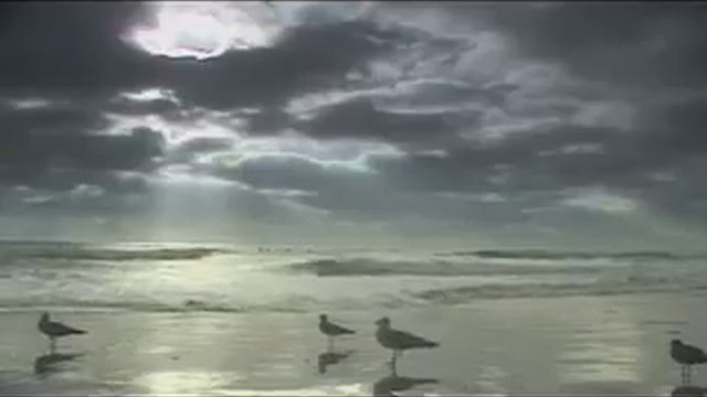 ROMANTIC SAX "BRAZILIAN LOVERS PARADISE" [VOL. II] смотреть онлайн