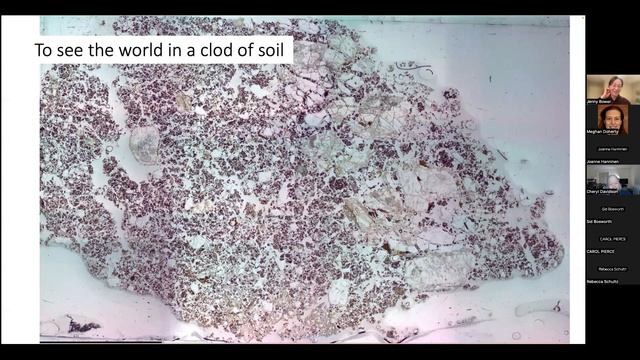 Digging Deeper: Uncovering the Stories of Soil and Rocks at Hubbard Brook смотреть онлайн