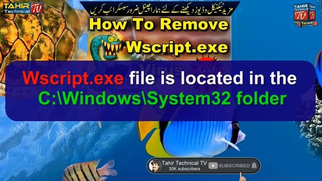 What is Wscript.exe? How To Fix Wscript.exe? Wscript exe Virus حذف happens, is this harm fro my PC смотреть онлайн