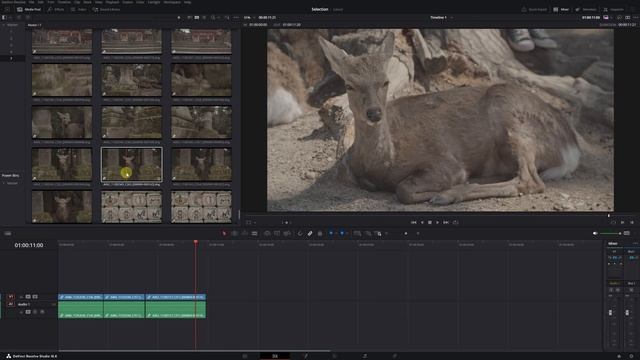 This Will Save You HOURS in Davinci Resolve 19 - Select much faster! смотреть онлайн